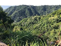 02C Green forested covered hills on our way to Blue Mountains near Kingston Jamaica